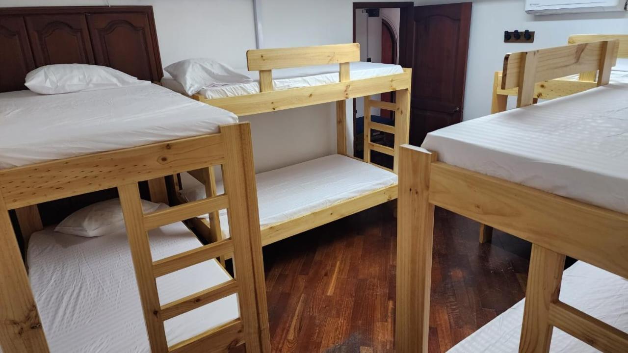 Paisa Hostel 麦德林 外观 照片